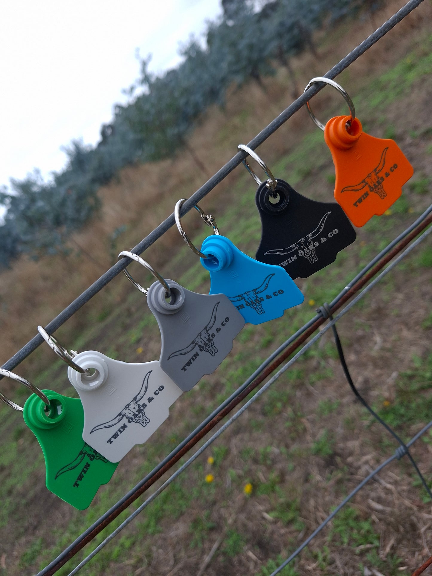 Mini Cattle Tag (size 2)