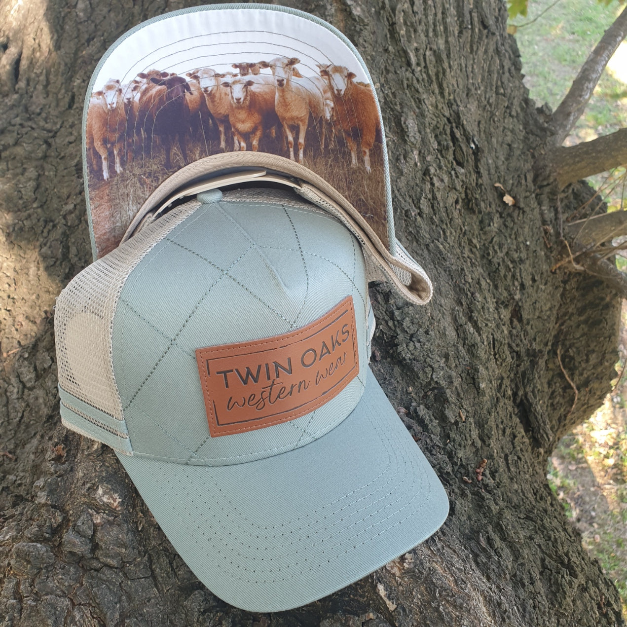 Trucker - Diamond Sage