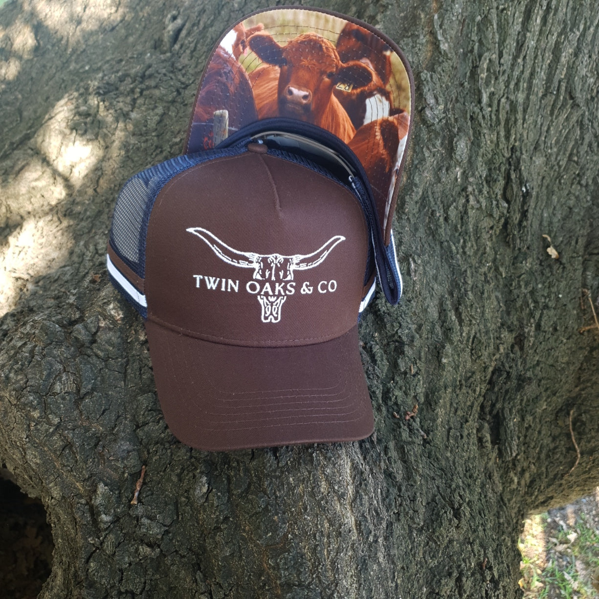 Trucker - Longhorn